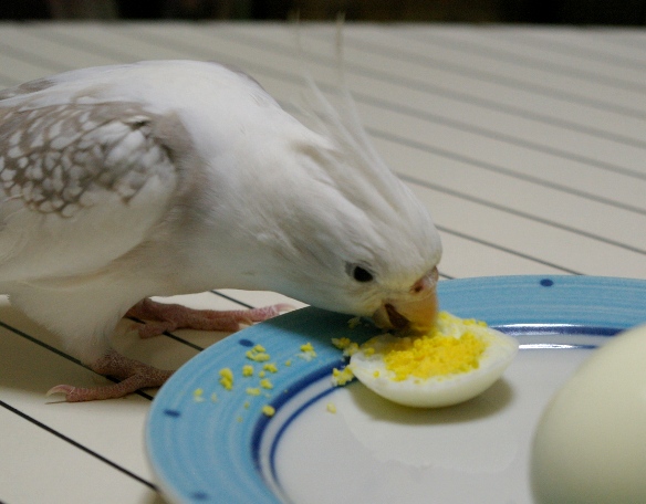 過ぎ ゆで 卵 食べ