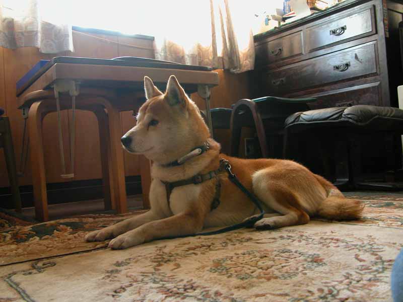 f0186021_2041715.jpg