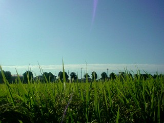 e0071923_824043.jpg