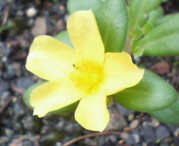f0036223_10202349.jpg