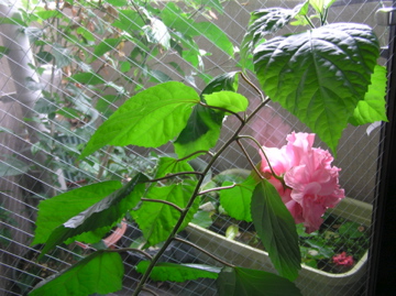 f0128723_201353100.jpg