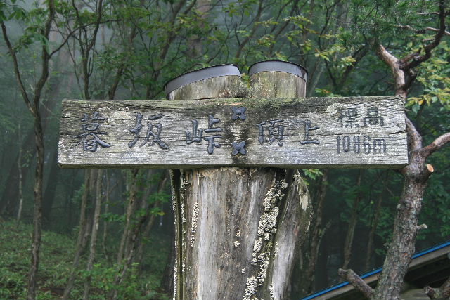 e0064133_0242028.jpg