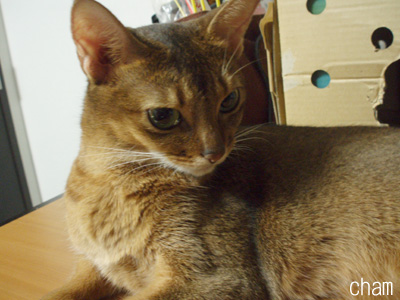 c0132438_22244459.jpg