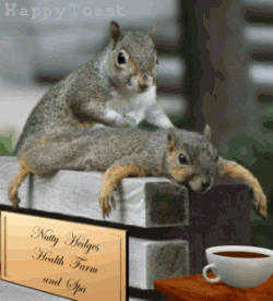 c0001339_1561658.gif