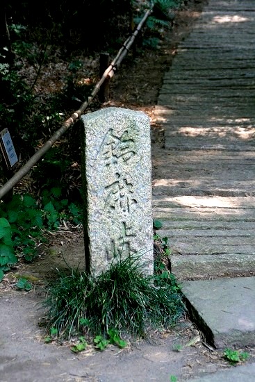 d0141239_15492091.jpg