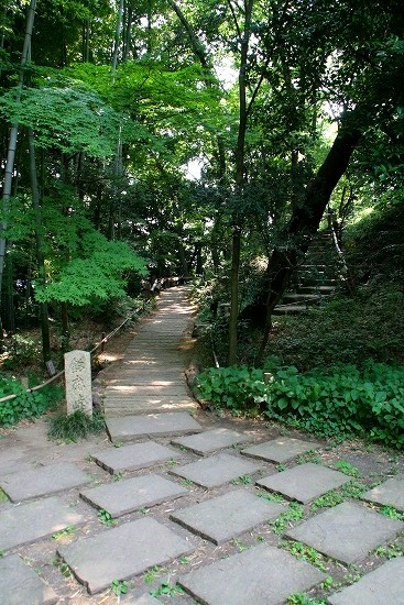 d0141239_1549627.jpg
