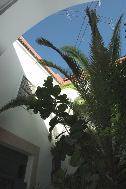 e0144545_10192024.jpg