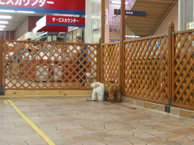 f0183546_1835586.jpg