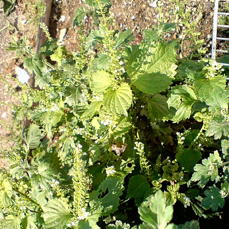 e0034047_024438.jpg