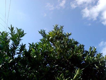 e0034047_025714.jpg