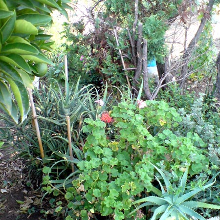 e0034047_031259.jpg