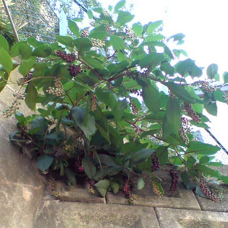 e0034047_034178.jpg