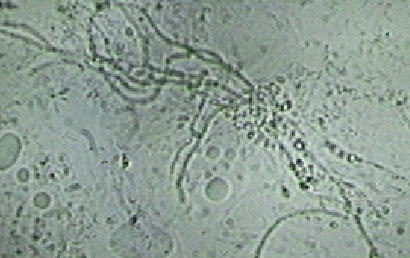 f0154649_21172292.jpg