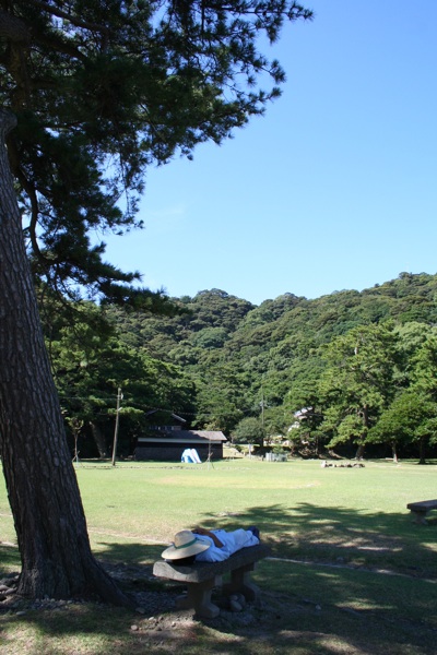 a0048851_265859.jpg