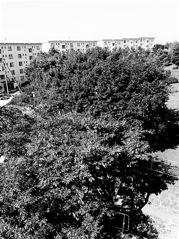 c0003752_0182710.jpg
