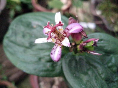 c0147952_20103433.jpg