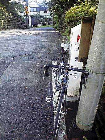 c0179152_1385768.jpg