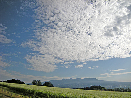 a0001354_22291357.jpg
