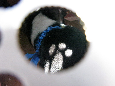f0160554_1817419.jpg