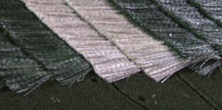 c0097856_0333181.jpg