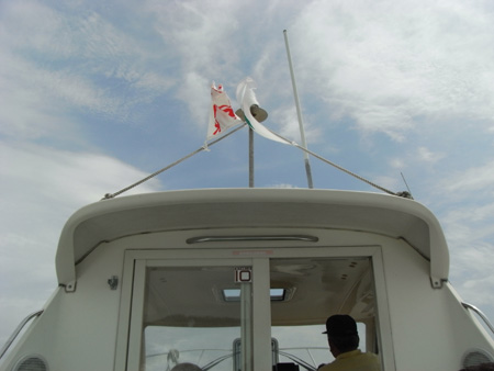 f0054556_115017.jpg