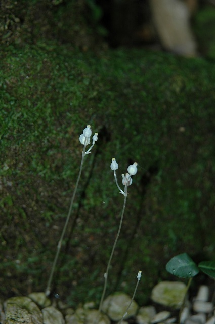 b0104861_20272319.jpg