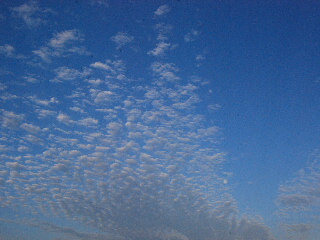 d0087062_11273875.jpg