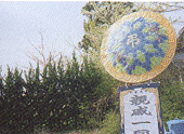 d0065364_2422965.gif