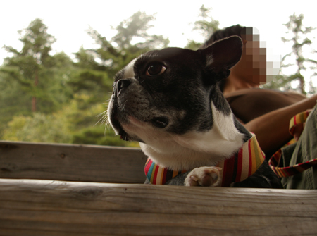c0032567_177771.jpg
