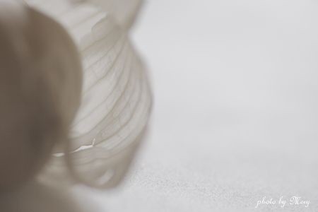 d0139967_0101721.jpg