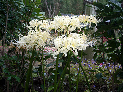 e0097770_21504233.jpg