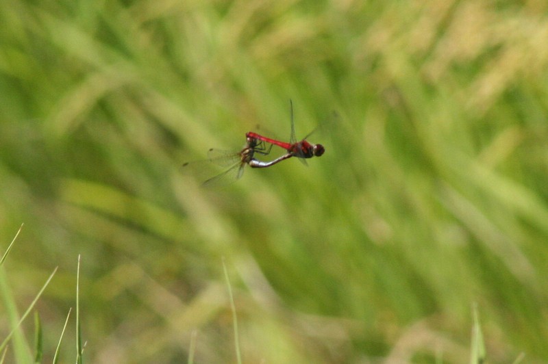 b0088772_1601330.jpg