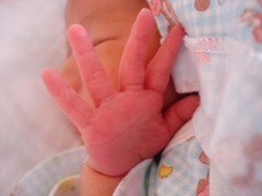 f0123373_1293220.jpg