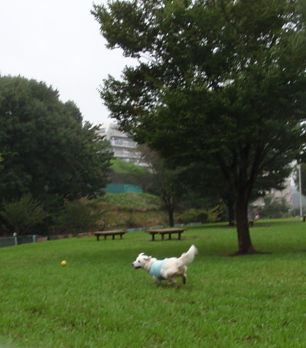 b0136381_12262593.jpg