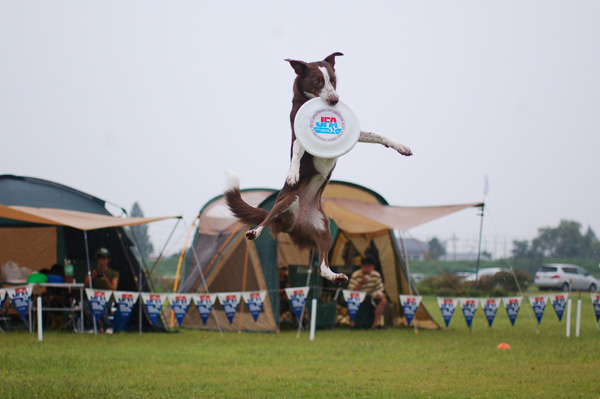 d0101385_21123449.jpg