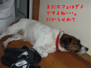 e0121589_2315882.jpg