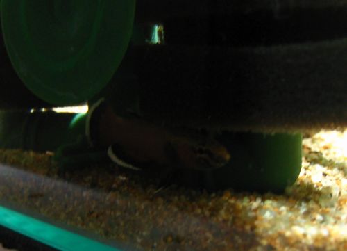 c0074591_033085.jpg