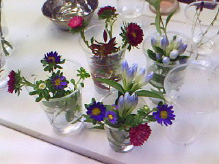 f0008597_2001498.jpg