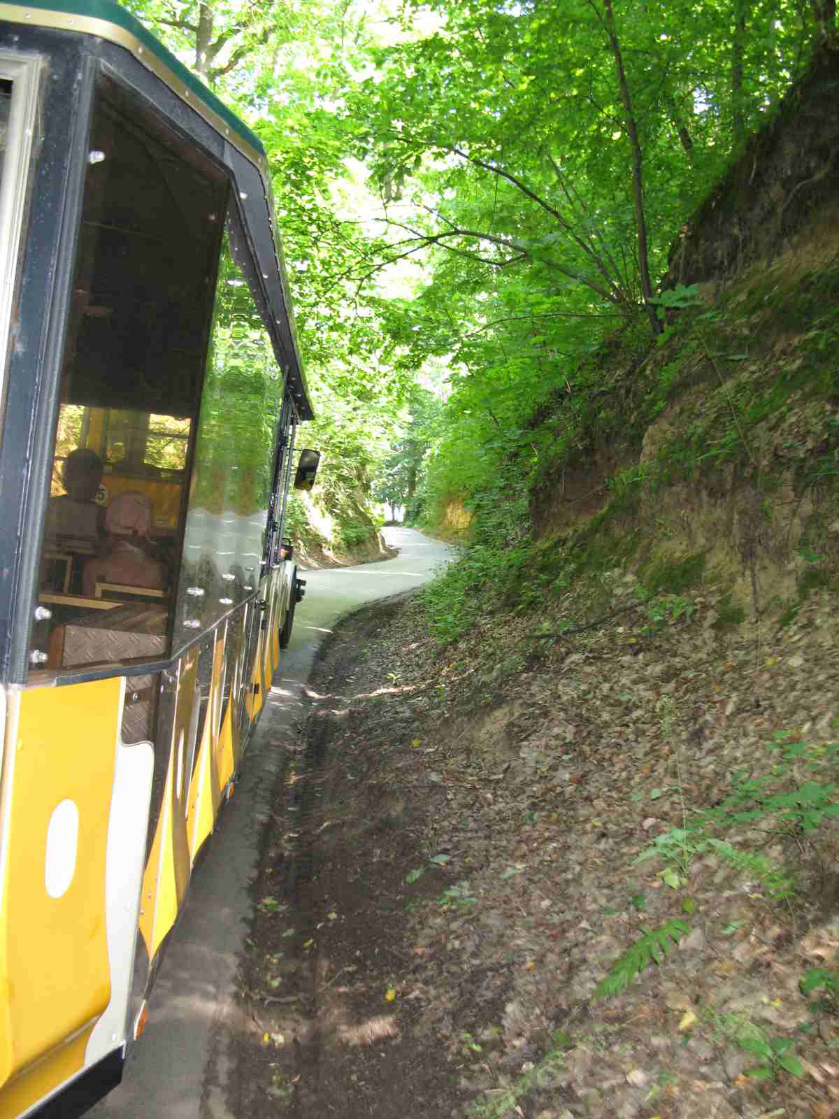 f0129897_2012560.jpg