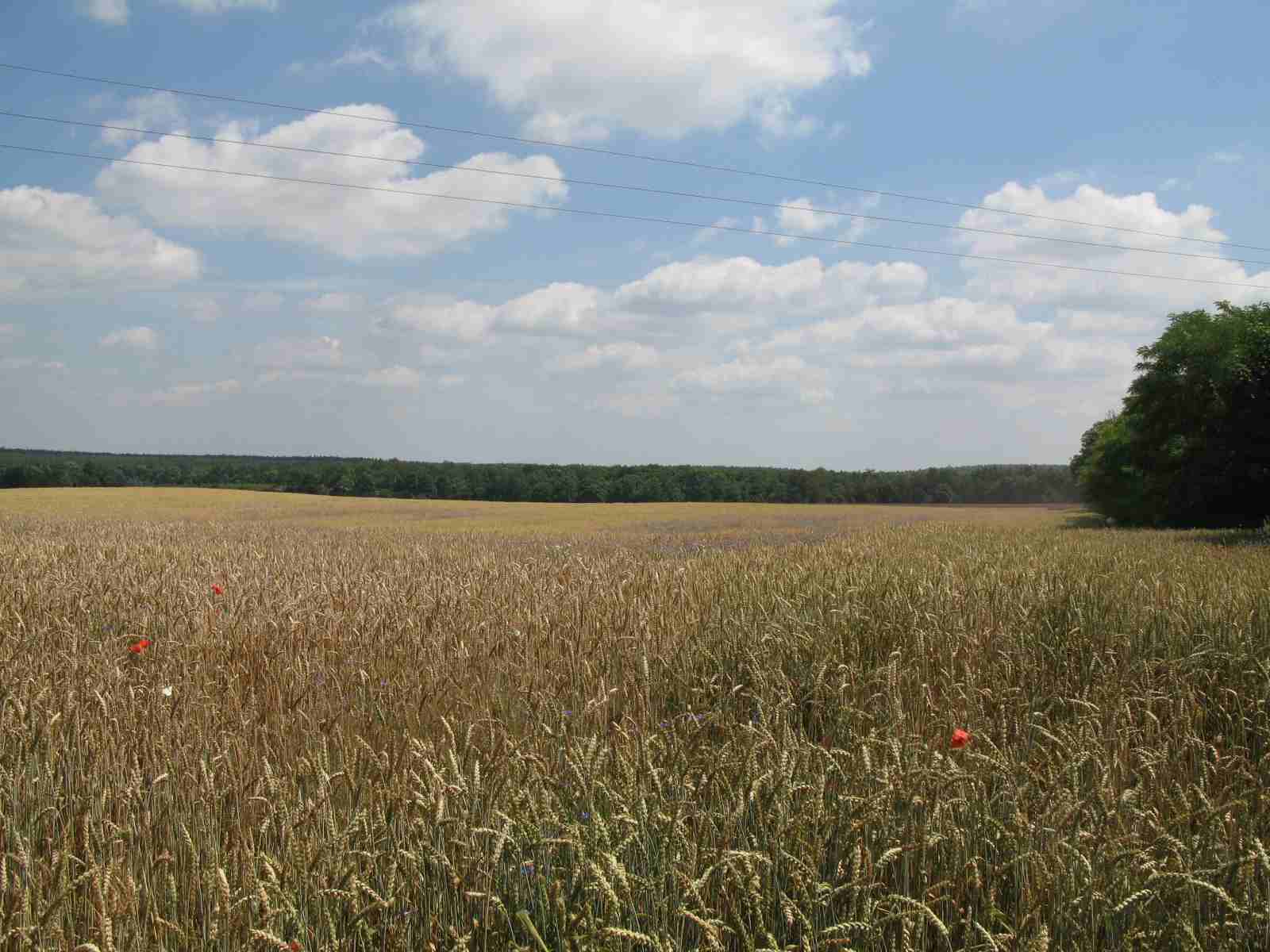 f0129897_20142176.jpg