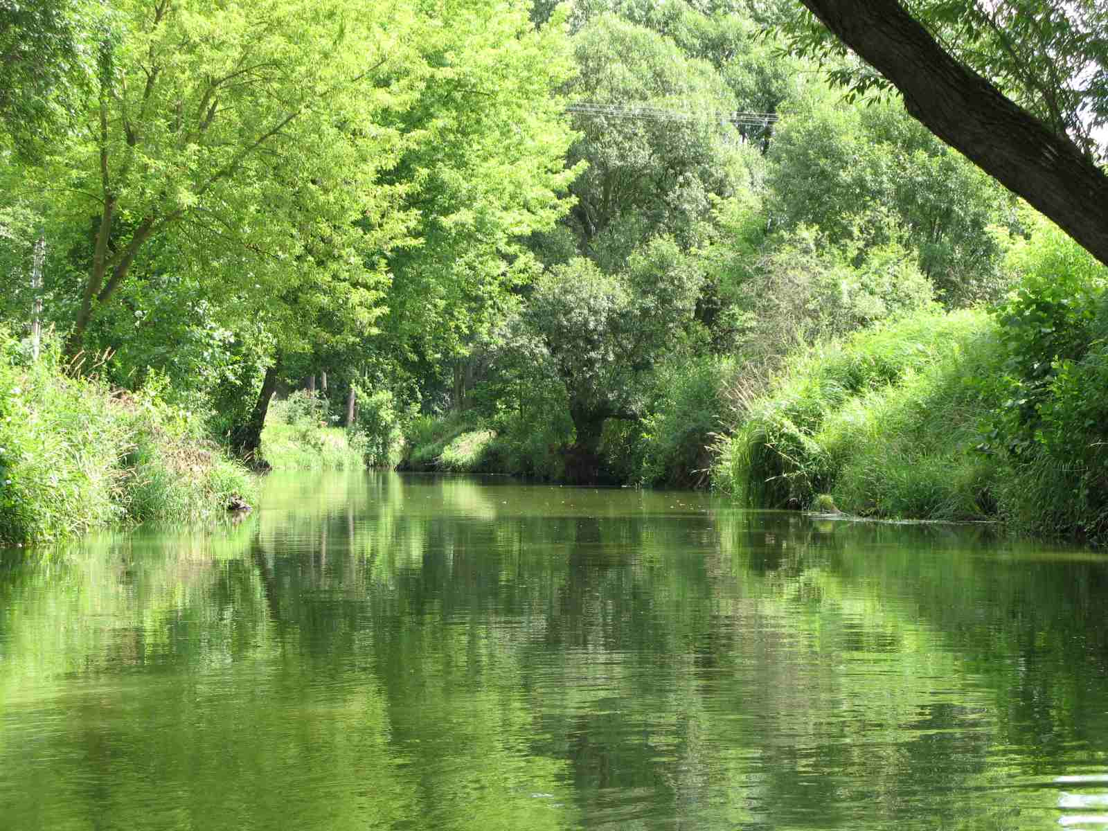 f0129897_2030859.jpg