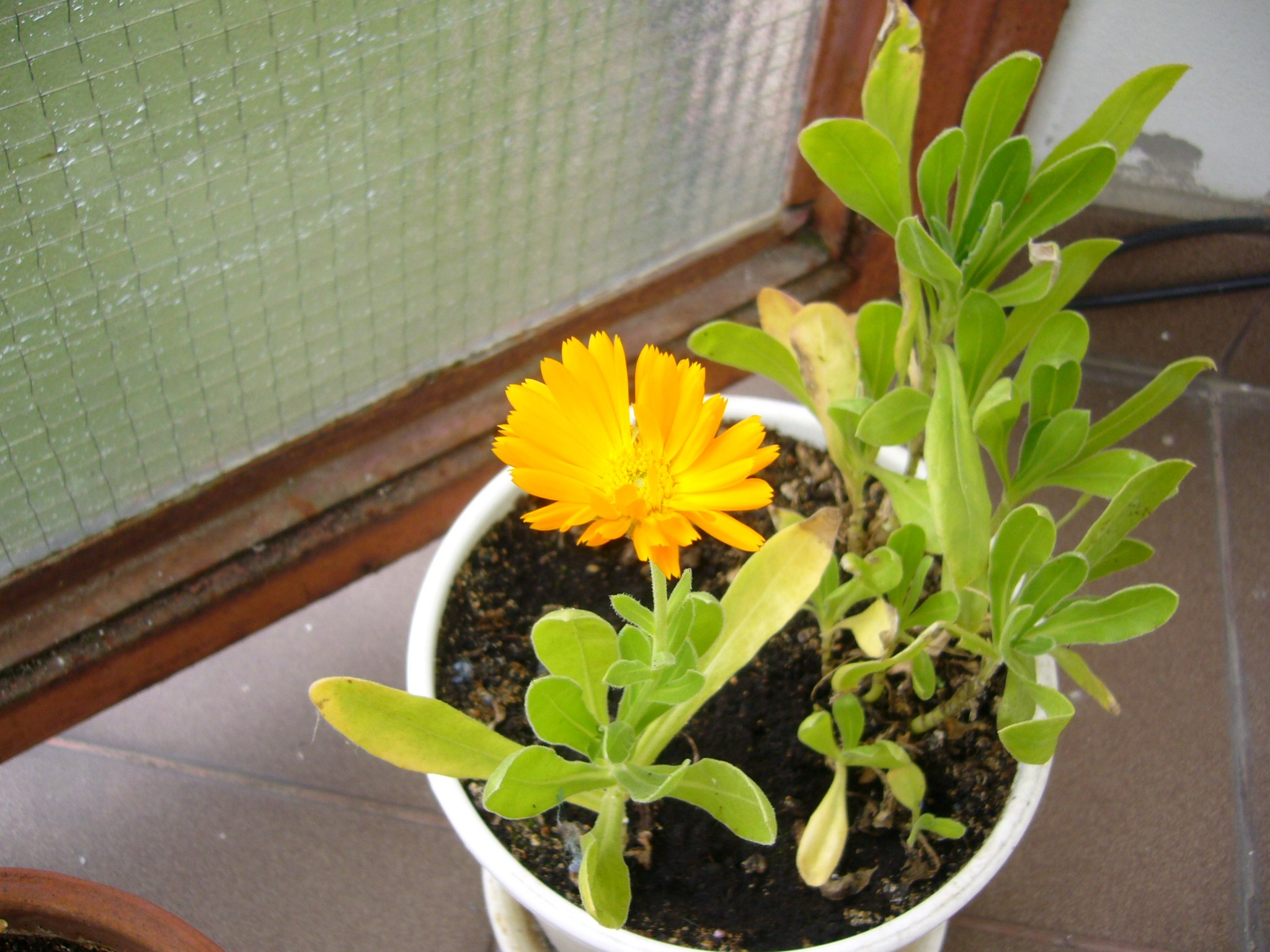 f0169397_4224363.jpg