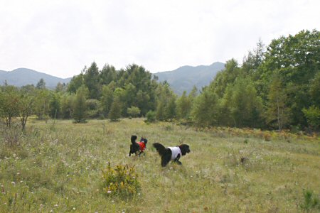 c0050400_144166.jpg