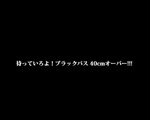 c0171001_22573544.jpg