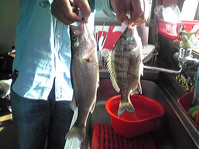 f0079202_20123118.jpg