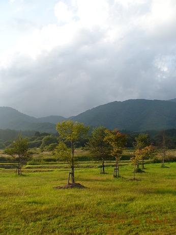 d0087503_16281842.jpg