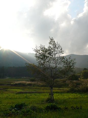 d0087503_16284732.jpg