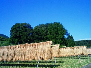 f0164003_1915321.jpg