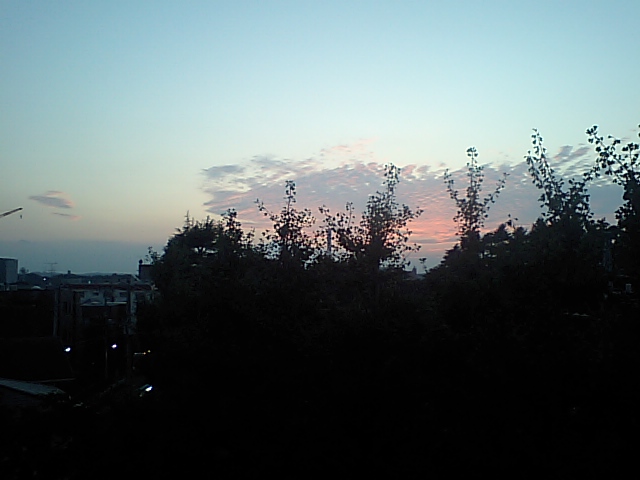 d0054704_0133143.jpg