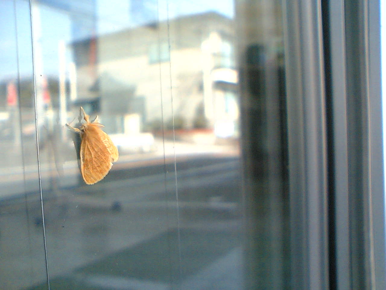 d0102007_12315619.jpg